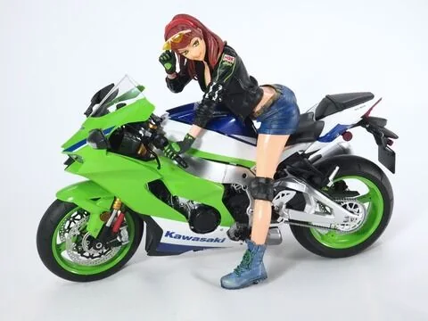 BIKER GIRL & Ninja ZX-10R